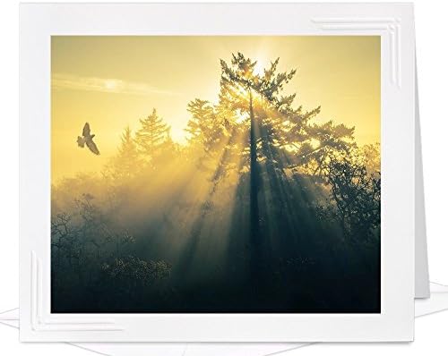 Handmade All Occasion Greeting Card of Flying Bird - frameable metallic photo