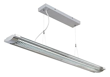 Lite Source Ls 19681silv Devika Ceiling Lamp Silver With Clear