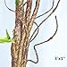 Hamiledyi 4 Pcs Flexible Bend A Branch Jungle Vines Terrarium Leaves Lizard Gecko Habitat Tank Decor for Frogs Snakes and More Reptiles