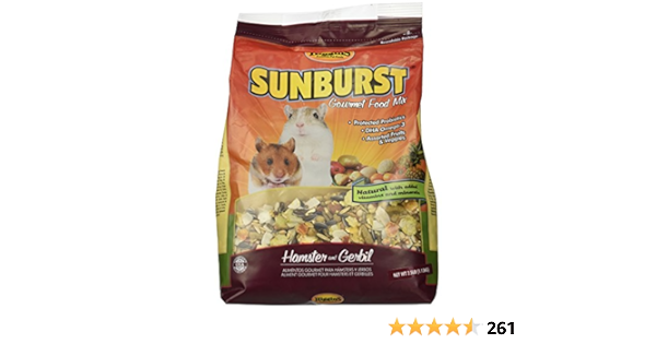sunburst hamster