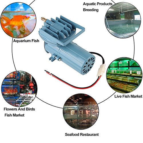 Top 10 Best Air Blowers For Fish Tanks Best of 2018 Reviews No