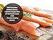 Smoked Salmon Sockeye Lox Cold Smoked Wild Caught Pacific Canadian Fish Sliced Sugar Free 8 oz