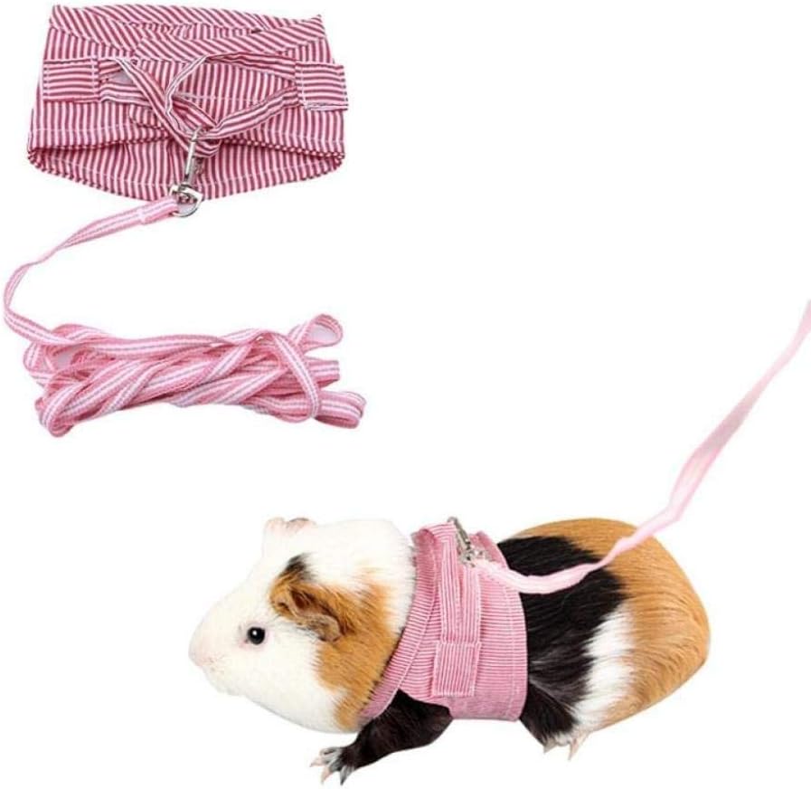 guinea pig leads harnesses