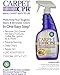 CPR Cleaning Products Carpet CPR Spot & Stain Remover, 24-oz
