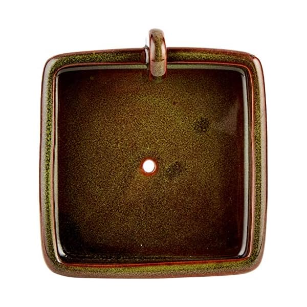 Wildlife World Ciotola per Lo Snack dei Ricci