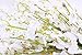 MISSWARM 10 PCS Dancing Lady Orchids Butterfly Artificial Flowers, 38 Inches Silk Artificial Flower Fake Flowers for Wedding and Home Decoration(White)