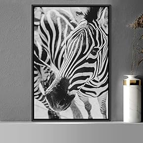 signwin Framed Canvas Wall Art Duotone Zebra Animals...