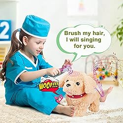 Koonie Walking Toy