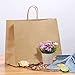 Road 16x6x12 inches Large Kraft Brown Paper Bags with Handles, Shopping, Grocery, Mechandise, Party Bags (50)