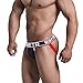 BSHETR Men's Jockstrap Athletic Supporters Underwear, Blue Sexy Mesh Low Rise Breathable Performance Jock Strap (R388-BLUE, L)