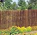 Master Garden Products Willow Fence Screen, 6'H x 6'W