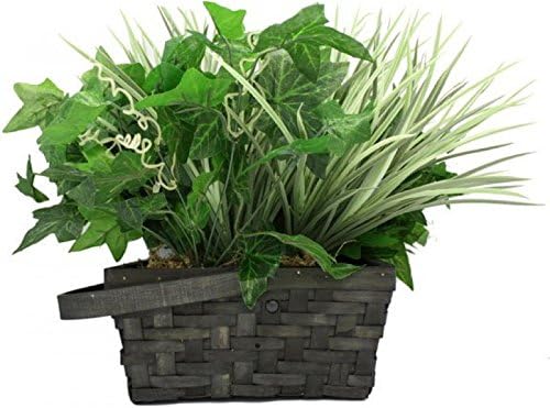 SpyTec HC-XHOUSEPLANTCAM1 KJB 720p HD Xtremelife House Plant Camera