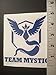 Team Mystic Vinyl Decal MultiPack (Pokemon Go Inspired)