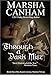 Through A Dark Mist (The Medieval Trilogy Book 1)