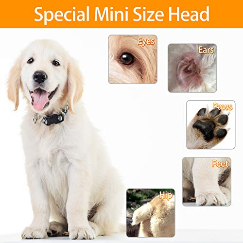 Petslucent Dog Clippers, Pet Grooming Scissors Kit Professional Cat Hair Clipper Trimmer for Small Dogs, Super Quiet Rechargeable Dog Clippers Brush Comb for Hair Around Claw, Paws, Eyes, Ears, Feet