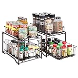 2 Pack - Simple Trending Stackable 2-Tier Spice