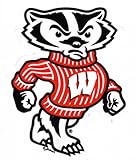 NCAA Wisconsin Badgers Car Magnet (Small, 2 Pack)