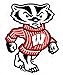 NCAA Wisconsin Badgers Car Magnet (Small, 2 Pack)
