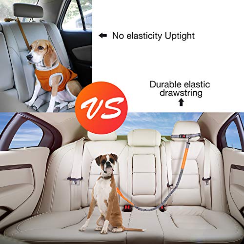 YIHATA Hand Free Hands Dog Leash 6FT Bungee Running Leashes for Dogs Reflective Backpacking Waist Belt Adjustable Biking Rugged Woaat Collar Halti Muzzle Night, Ideal for Small, Medium, Large Dogs - Thumbnail 3