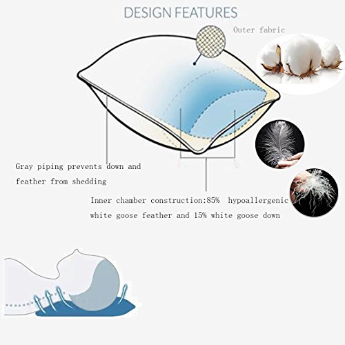 Feather and Down Bed Pillow,King Size 2 Pack,Firm White Goose Feather and Down Pillow,Cotton Cover with Fashionable Piping by AIKOFUL