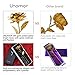 Valentine's Day Gift 24K Gold Foil Rose Flower with Crystal-Clear Vase, Best Love Gift for Women Anniversary, Birthday, Mothers Day