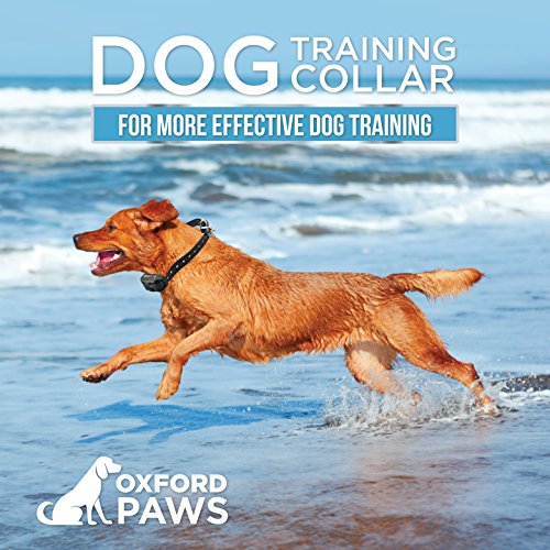 image for OXFORD PAWS 2018 NEW - Dog Shock Collar with Remote, 100% Waterproof D