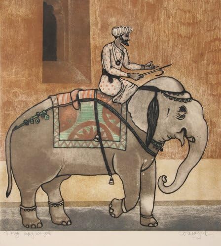 Amazon Com Untitled Elephant Ride Arun Bose Home Kitchen