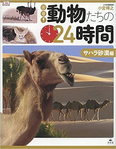 Amazon Co Jp 密着 動物たちの24時間 サハラ砂漠編 弘子 渋谷 輝之 小宮 Japanese Books