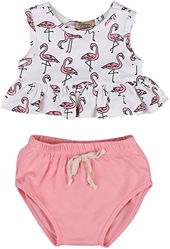 Baby Girls Ruffles T-shirt Cartoon Vest Short PP Pants Bowknot Shorts Outfit Set (12-18 Months, Pink)