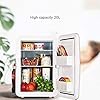 YANJ Portable Mini Fridge 12v 220v,Electric Cool Box Car refrigerator,Home And Car Dual Use Refrigeration And Heating Dual Use 20L Capacity 220V/12V LOLDF1