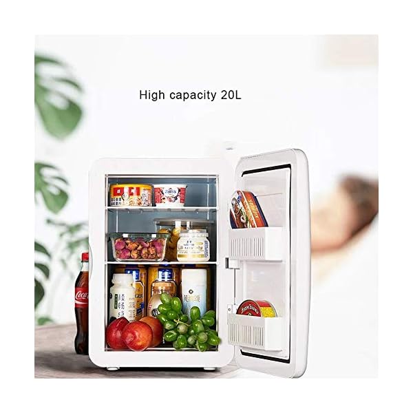 YANJ Portable Mini Fridge 12v 220v,Electric Cool Box Car refrigerator,Home And Car Dual Use Refrigeration And Heating Dual Use 20L Capacity 220V/12V LOLDF1