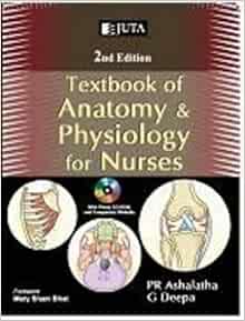 Microsoft campus visual data 2