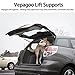 Qty (2) 6114 Tailgate Rear Trunk Struts Shocks Compatible with Mercedes Benz W163 ML320 ML350 ML430 ML500 ML55 AMG Lift Gate Rear Hatch Lift Supports