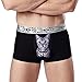 JUMUU Men's Cat Animal Print Stretch Underwear Bulge Pouch Boxers Briefs Underpants (Large/31-33 Waist, Black)
