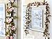 Lannu 2 Pack Artificial Rose Vine Flowers Fake Garland Ivy Flowers Silk Hanging Garland Plants for Home Wedding Party Decorations, (Pink &Champagne )