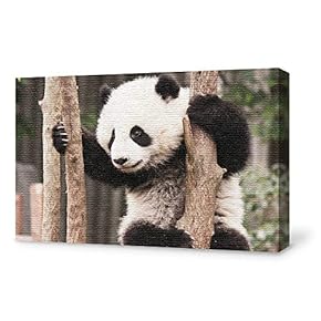 Canvas Wall Art for Living Room,Bedroom Home Artwork Paintings Cute Panda Ready to Hang - 12x18 inches