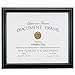 Lawrence Frames 185081 Black Document Picture Frame, 8.5 by 11-Inch