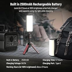NEEWER 2 Pack Magnetic Handheld Light