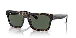 Ray-Ban Men's RB4396 Warren Rectangular