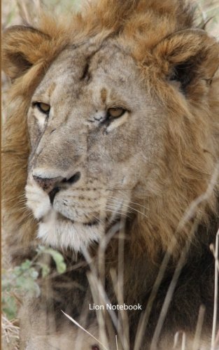 Lion Notebook: College Ruled Writer's Notebook for School, the Office, or Home! (5 x 8 inches, 78 pages)