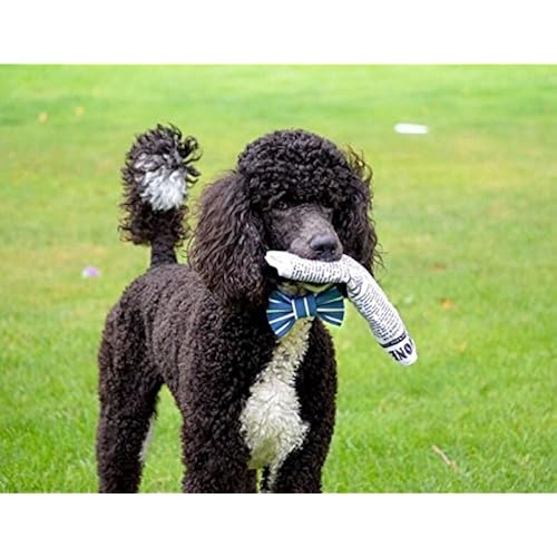 Pet Supplies, Dogs, Toys, Squeak Toys