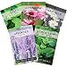 Sow Right Seeds - Herbal Tea Collection - Lemon Balm, Chamomile, Mint, Lavender, Echinacea Herb Seed for Planting; Non-GMO Heirloom Seed, Instructions to Plant Indoor or Outdoor; Great Gardening Gift