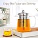 Glass Teapot - Tea Maker Tea Infuser, 304 Stainless Steel Infuser & Germany Clear Glass. Borosilicate Glass Tea Pot with Infuser for Blooming and Leaf Tea. 27 Ounce / 800 Milliliter as Teakettle