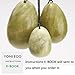 Set of 3 Jade Green Yoni Egg for Kegel and Pelvic Excercise