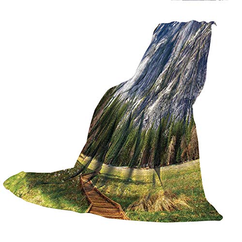 SCOCICI Super Thick Flannel Double-Sided Printing Blanket,Yosemite,North Dome as Seen from The Valley with Wooden Walkway Yosemite National Park,Green Charcoal,31.50" W x 47.25" H
