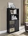 Ameriwood Home Mercer Storage Bookcase with Multicolored Door and Drawer Fronts, Black