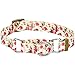 Blueberry Pet Spring Scent Inspired Rose Print Martingale Safety Training Dog Collar, Ivory, Small, Heavy Duty Adjustable Collars for Dogs