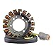 RMSTATOR Generator Stator 420W Replacement for Can-Am Outlander/Outlander Max/Renegade 330 400 450 500 570 650 800 800R 850 1000 1000R 2003-2023 | OEM Repl.# 420296907/420684850 / 420685920