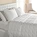 DOWNLITE Lightweight Luxury Satin Trim Down Blanket – Hypoallergenic, All-Season, 230 Thread Count Cotton, Machine Washable and Dryable – White, King 113