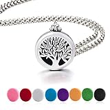 BESTTERN Never Fade Stainless Steel Essentail Oil Diffuser Necklace Aromatherapy Necklace Jewelry with Two Free Chains and Free Pads